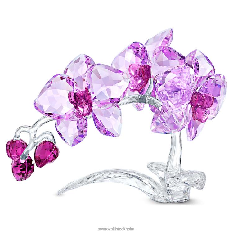 Swarovski kristallblommor orkidé P28L1630 dekorationer samling
