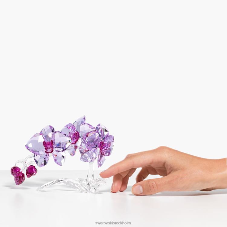 Swarovski kristallblommor orkidé P28L1630 dekorationer samling