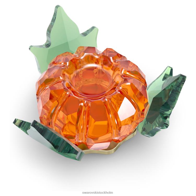 Swarovski trädgårdssagor pumpa magnet P28L1624 dekorationer samling