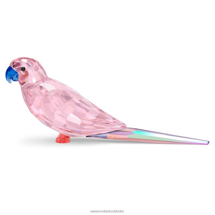 Swarovski djungeln slår rosa parakit cha cha P28L1654 dekorationer samling