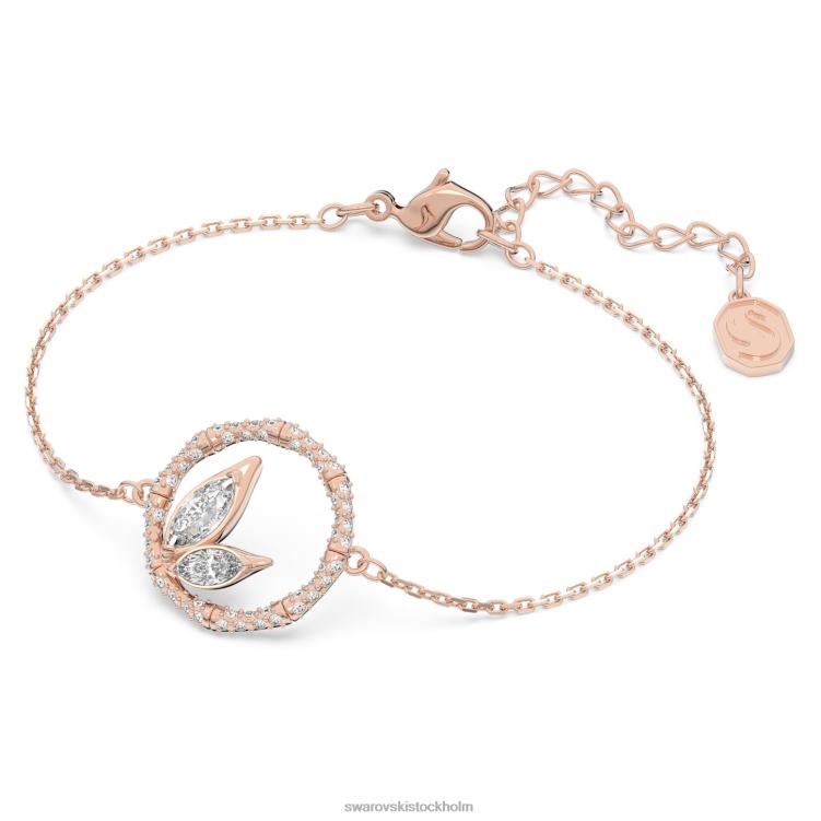 Swarovski dellium armband P28L465 Smycken bambu, vit, roséguld pläterad
