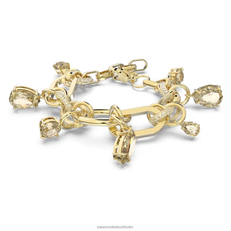 Swarovski imber armband P28L473 Smycken brun, guldfärgad pläterad