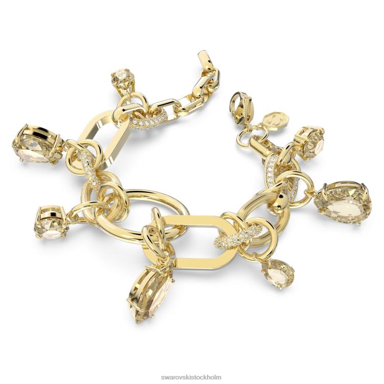 Swarovski imber armband P28L473 Smycken brun, guldfärgad pläterad