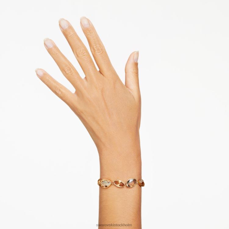 Swarovski elegans av afrika armband P28L580 Smycken blandade snitt, brun, guldfärgad