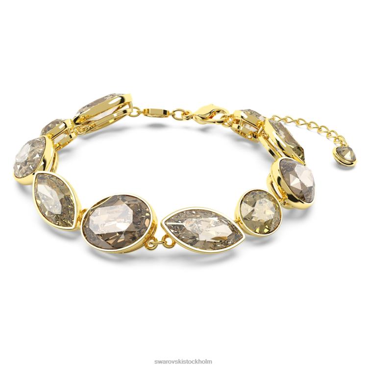 Swarovski elegans av afrika armband P28L580 Smycken blandade snitt, brun, guldfärgad
