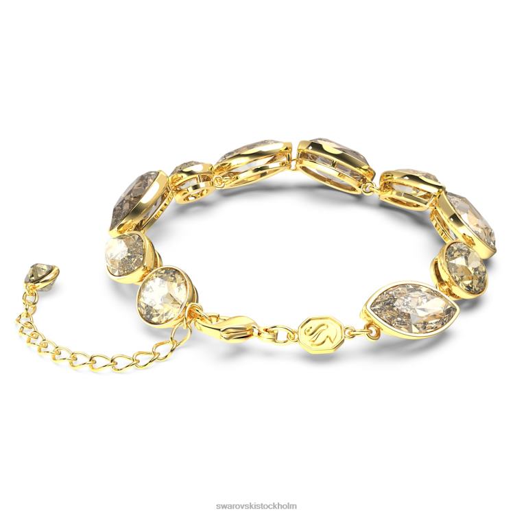 Swarovski elegans av afrika armband P28L580 Smycken blandade snitt, brun, guldfärgad