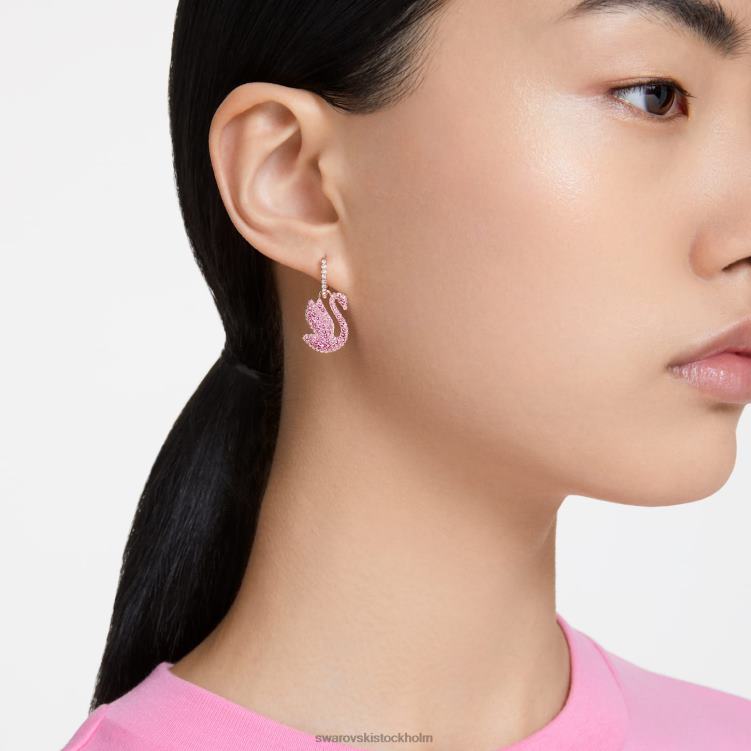 Swarovski ikoniska svandroppsörhängen P28L812 Smycken svan, rosa, roséguld pläterad