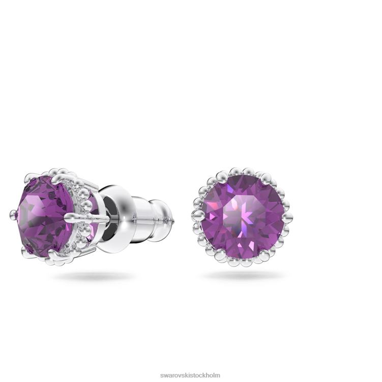 Swarovski Birdstone örhängen runda skurna P28L692 Smycken februari, lila, rodiumpläterad