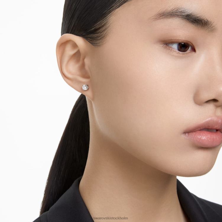 Swarovski evighetsörhängen P28L648 Smycken 14k vitguld