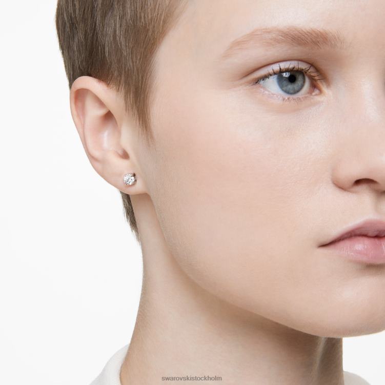 Swarovski evighetsörhängen P28L649 Smycken 14k vitguld
