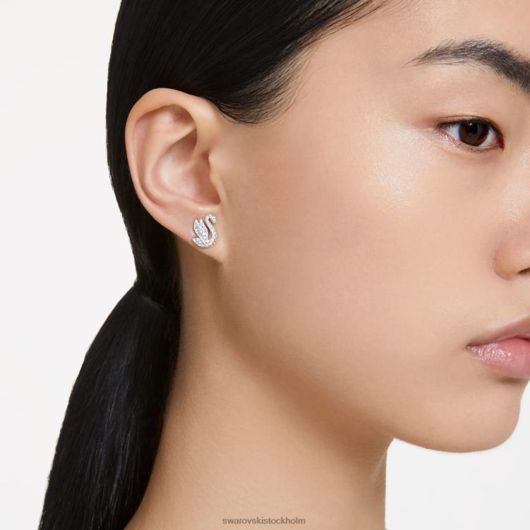 Swarovski ikoniska svanörhängen P28L707 Smycken svan, vit, rodiumpläterad