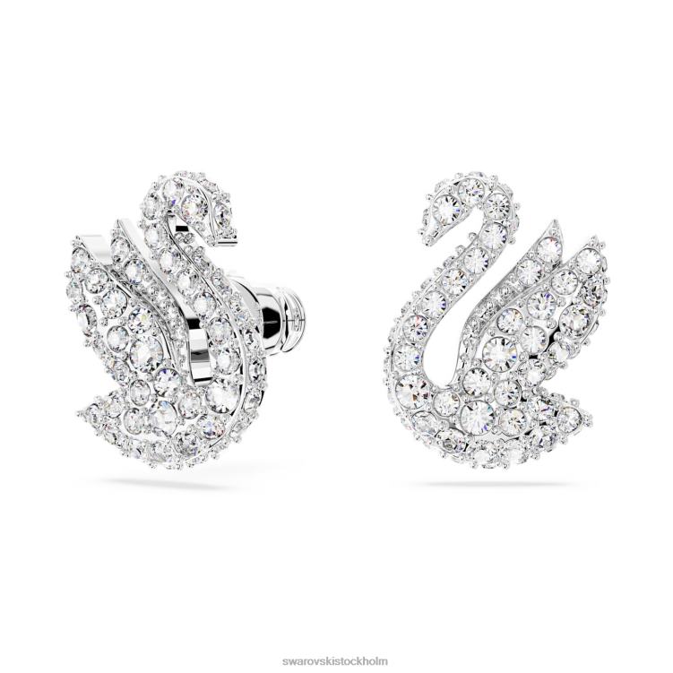 Swarovski ikoniska svanörhängen P28L707 Smycken svan, vit, rodiumpläterad