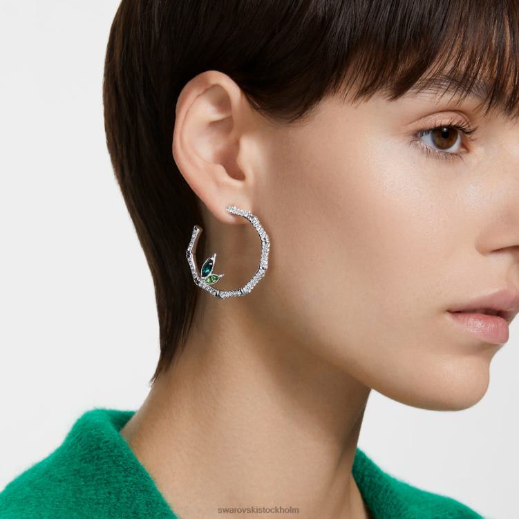 Swarovski dellium hoop örhängen P28L929 Smycken bambu, grön, rodiumpläterad