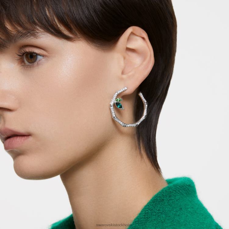 Swarovski dellium hoop örhängen P28L929 Smycken bambu, grön, rodiumpläterad